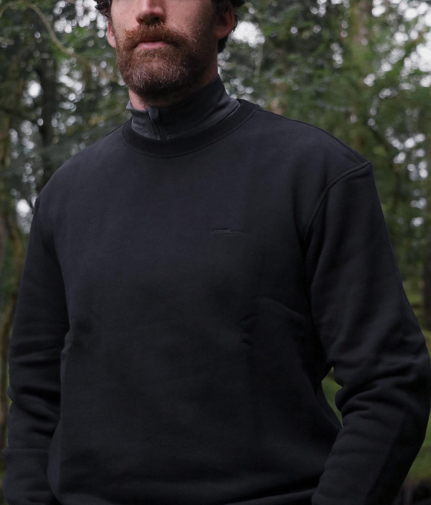 model-main