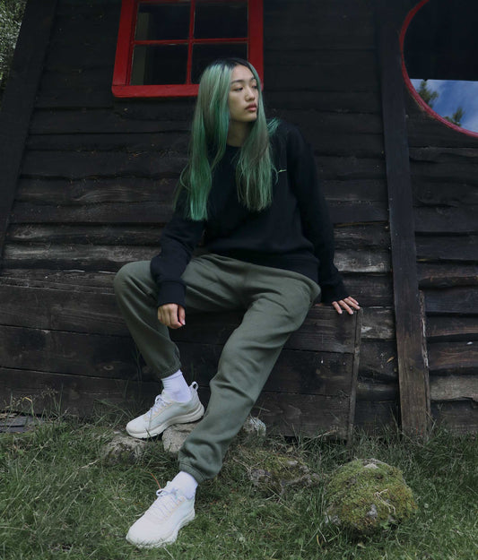 model-main